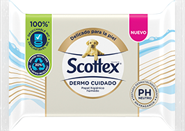  Scottex Scottex Clean - Papel higiénico gigante original, 12  rollos largos de 500 lágrimas, 4.41 oz : Salud y Hogar
